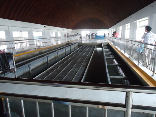 珠海污水处置惩罚